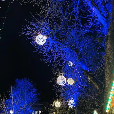 Europa Park Ferienwohnung Lejlighed Ettenheim